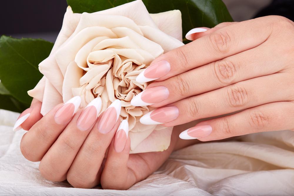 New Set | Filling